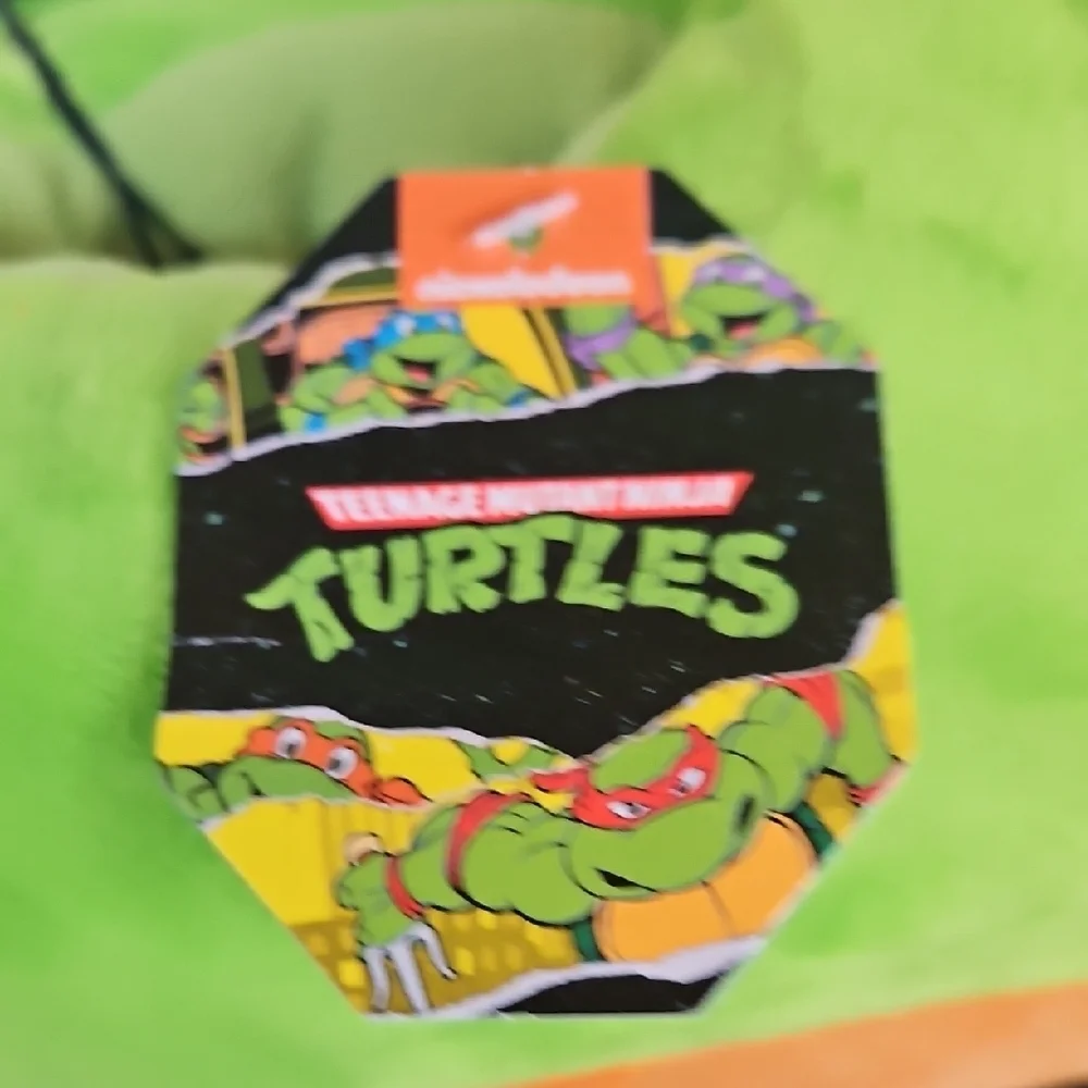 Teenage Mutant Ninja Turtles Green & Orange Kids Slippers